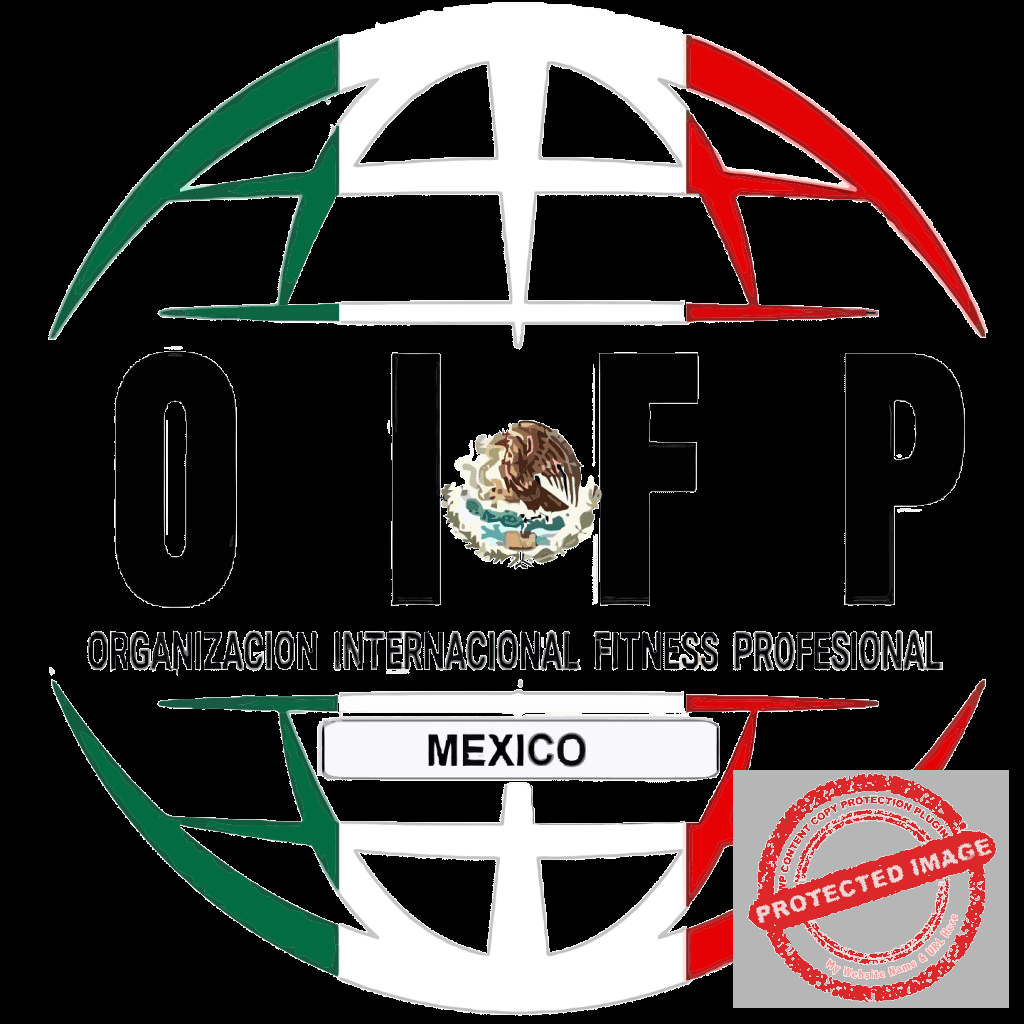 nimble_asset_oifp_optimized